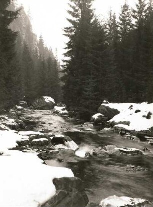 Schwarze Pockau bei den Nonnenfelsen zur Zeit der Schneeschmelze