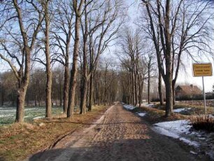 Damitzow, Tantow, Damitzower Straße