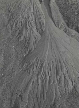Spuren fließenden Wassers im Sandboden, Watt