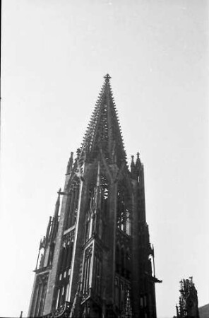 Freiburg: Münsterturm, von unten