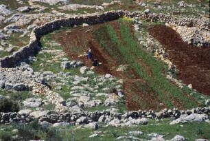 Landwirtschaftliche Umgebung des Klosterbezirks