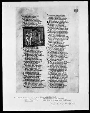Rudolf von Ems, Weltchronik — Adam und Eva und die Schlange, Folio 12verso