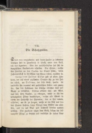 VII. Die Schatzgräber.