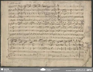 Gnäd'ge Frau als ich anjetzt - Mus.2-F-518,8 : S, strings - D