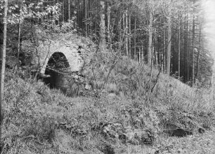 Bieberstein, OT von Reinsberg, Emanuel Erbstolln, Mundloch am Waldhang beim Zollhaus