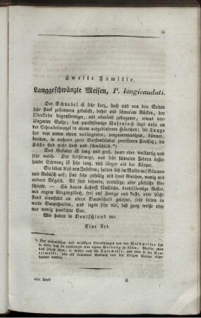 Zweite Familie. Langgeschwänzte Meisen.