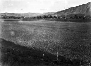 Feld im Valle de Guadalupe : Blick über ein Feld