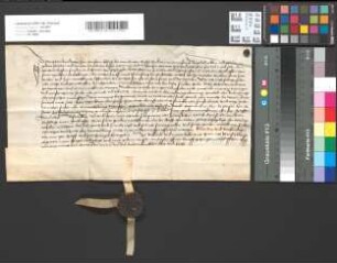 Eidesleistung der neu gewählten Äbtissin des Quirinstifts zu Neuss Petersch von Dune, Tochter zum Oberstein.