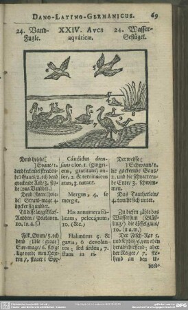 XXIV. Aves aquaticae