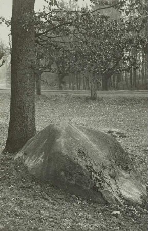 Großschweidnitz (Kreis Löbau): Gutspark: Nordischer Findling aus Biotitgneis