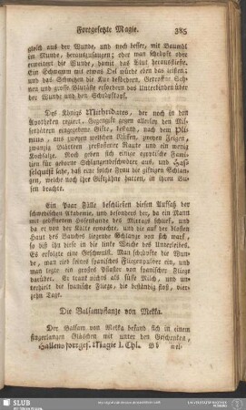 Die Balsampflanze von Mekka