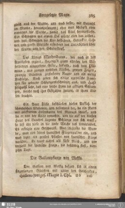 Die Balsampflanze von Mekka