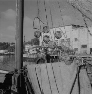Saßnitz. Fischereihafen mit Fischerbooten