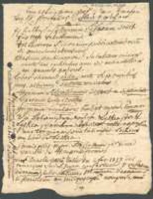Bemerkungen aus den Briefen von H. Professor Schwägrichen