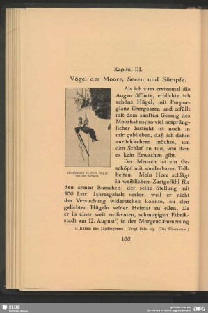 Kapitel III, Vögel der Moore, Seeen und Sümpfe