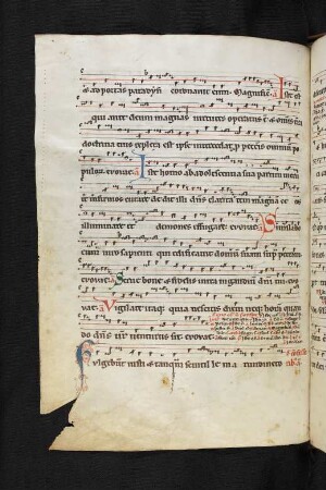Commune plurimorum confessorum