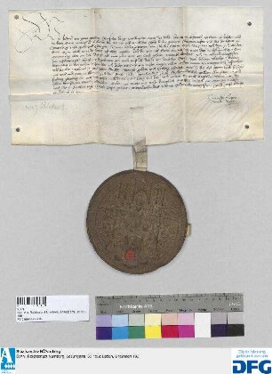 König Fridrich III. befiehlt der Stadt Nürnberg, seinem Rat und lic. jur. Ulrich Riedrer von der nächstjährigen Reichssteuer 436 fl. rhein. 60 dl. auszuhändigen.