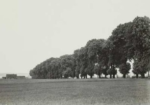 Kastanienallee