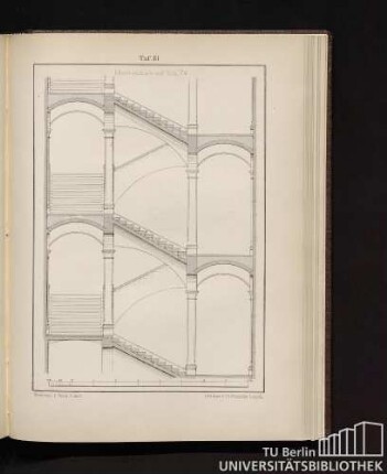 Taf. 81.