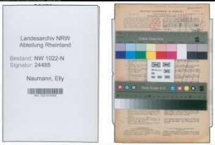Entnazifizierung Elly Naumann , geb. 31.01.1900 (Bankangestellte)
