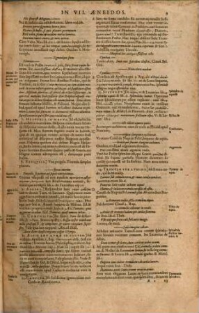 P. Virgilii Maronis ... Sex Libri Aeneidos. 2, P. Virgilii Maronis Posteriores Sex Libri Aeneidos