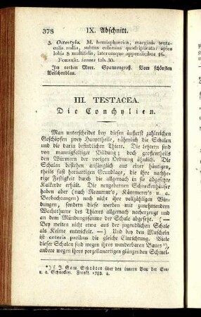 III. Testacea. Die Conchylien