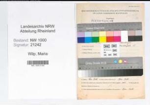 Entnazifizierung Maria Wilp, geb. 05.03.1896 (Dolmetscherin)