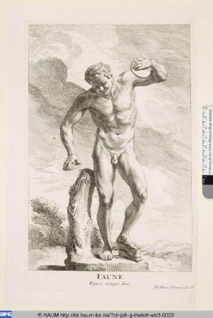 Faune