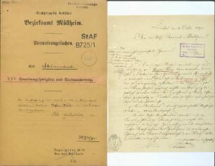Entlassung aus dem badischen Staatsverband: Stefan Waiz, Steinenstadt, nach Liestal/Kanton Basel-Landschaft