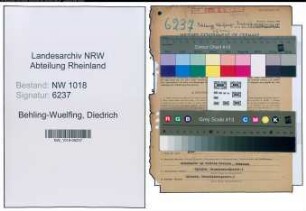 Entnazifizierung Diedrich Behling-Wuelfing , geb. 25.06.1885 (Rechtsanwalt)