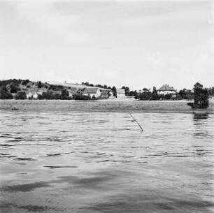 Strohmal in der Elbe