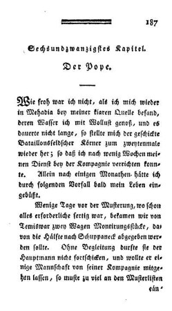 Sechsundzwanzigstes Kapitel. - Der Pope.