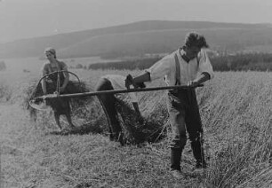 Kleinbauern bei der Feldarbeit : Kleinbauern bei der Feldarbeit