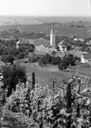 Varnhalt: Blick vom Weinberg auf Ort (von Süden) mit Kirche