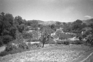 Fahrt nach Puerto Barrios (Lateinamerika-Aufenthalte 1934/1942 – 5. Mexiko 1937)