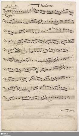 Violone