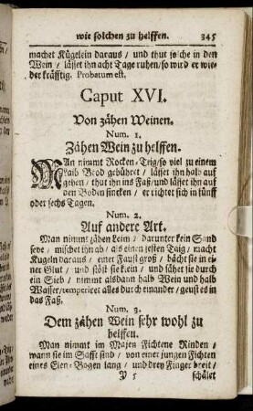 Caput XVI. - Caput XVIII.