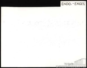ENDO.-ENGES.