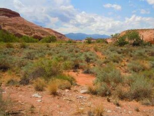 Landschaft in der Gegend der Irish Canyons am Highway 95