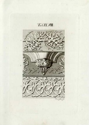 Tab. XLVIII.