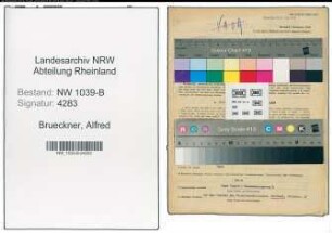 Entnazifizierung Alfred Brueckner , geb. 18.01.1907 (Beamter)