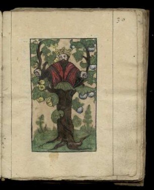 Die Kinder im Baum, die Rosen der Philosophen