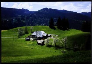 Breitnau: Schwarzwaldhof, von oben