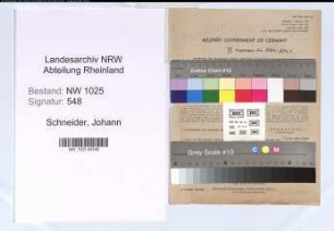 Entnazifizierung Johann Schneider , geb. 03.02.1900 (Ingenieur)