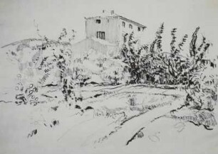Landschaft
