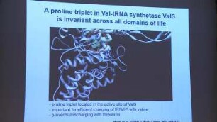 A synthetic biology approach of translational control
