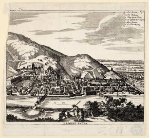 Heidelberg, Stadt und Schloss von Norden