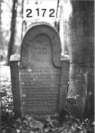 Grabstein 2172