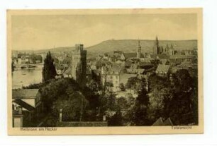 "Totalansicht" - Gesamtansicht, Blick vom Rosenberg auf Neckar, Götzenturm, südwestliche Innenstadt