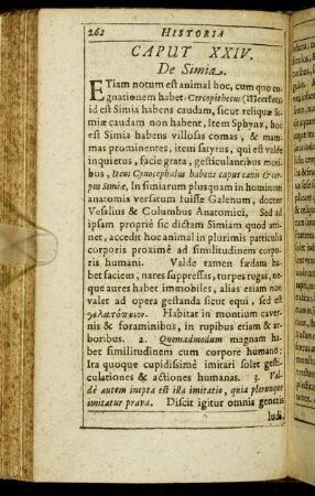 Caput XXIV. De Simia.